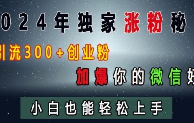 2024最新涨粉教程，日引流500+创业粉，加爆你的微信好友，小白也能轻松上手