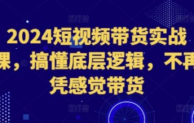 2024年最新短视频带货实战课，搞懂底层逻辑，不再凭感觉带货