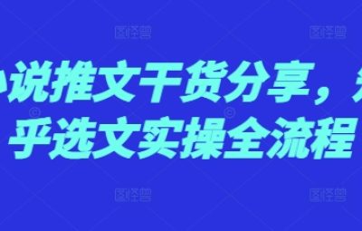 小说推文干货分享，知乎选文实操全流程