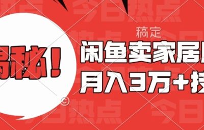 闲鱼卖家居用品，最新技巧零基础教学，月入过W+【揭秘】