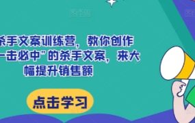 AI杀手文案训练营，教你创作出“一击必中”的杀手文案，来大幅提升销售额