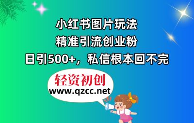 小红书图片玩法，精准引流创业粉，日引500+，私信根本回不完