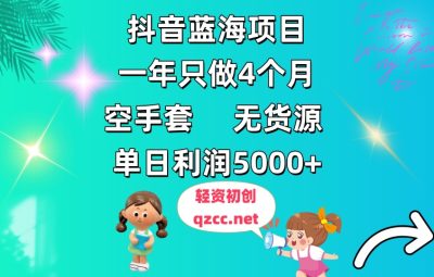 抖音蓝海项目，一年只做4个月，空手套，无货源，单日利润5000+