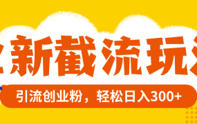 精准引流创业粉，全新截流玩法，轻松日入300+