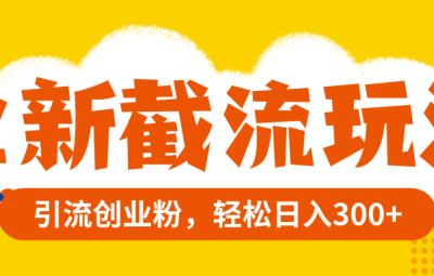精准引流创业粉，全新截流玩法，轻松日入300+
