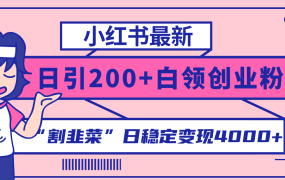 小红书轻松日引200+创业粉，”割韭菜“日稳定变现3000+实操教程！