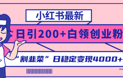 小红书轻松日引200+创业粉，”割韭菜“日稳定变现3000+实操教程！