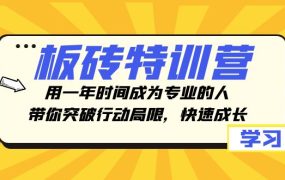 板砖特训营，用一年时间成为专业的人，带你突破行动局限，快速成长