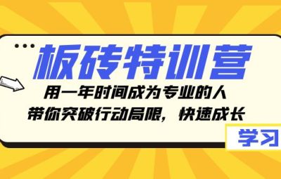 板砖特训营，用一年时间成为专业的人，带你突破行动局限，快速成长