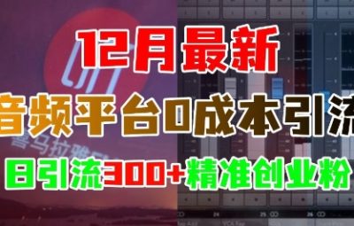 12月最新：音频平台0成本引流，日引流300+精准创业粉