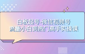 微信视频号短视频从小白到高手实操课