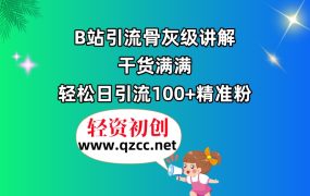 B站引流骨灰级讲解，干货满满，轻松日引流100+精准粉