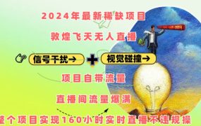 2024年最新稀缺项目，敦煌飞天无人直播，项目自带流量，流量爆满，实现160小时实时直播不违规