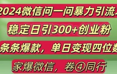 2024最新微信问一问暴力引流，条条爆款单日变现四位数