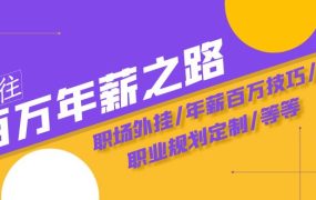 通往百万年薪之路·陪跑训练营：职场外挂/年薪百万技巧/职业规划定制/等等
