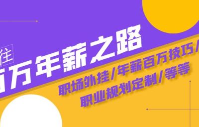 通往百万年薪之路·陪跑训练营：职场外挂/年薪百万技巧/职业规划定制/等等
