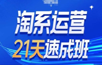 淘系运营21天速成班第34期-搜索最新玩法和25年搜索趋势