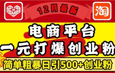 12月最新：电商平台1元打爆创业粉，简单粗暴日引500+精准创业粉，轻松月入过W