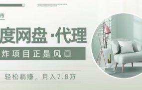 百度网盘代理怎么做？带你月入五位数