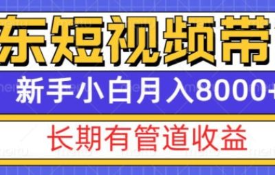 京东短视频带货新玩法，长期管道收益，新手也能月入8000+