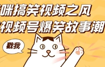 借猫咪搞笑视频之风，掀视频号爆笑故事潮，轻松日入四位数，无门槛快速入门!