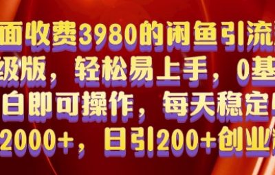 2024最新闲鱼引流教程，轻松易上手，0基础也可操作，日引200+创业粉，保姆级