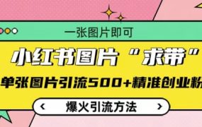 小红书图片‘求带’爆火引流法，单张图片引流500+精准创业粉