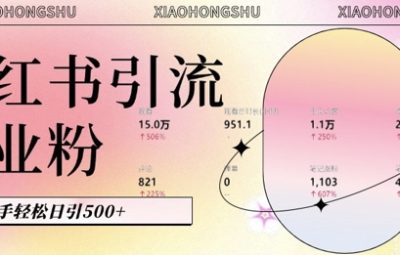 小红书私域引流无脑操作教程，AI生成内容，粉丝自动转化，新手轻松日引500+创业粉
