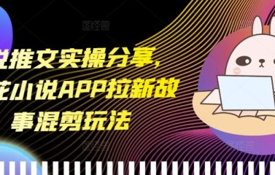 小说推文实操分享，蛋花小说APP拉新故事混剪玩法