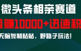 微头条相亲赛道，迅速积累，无脑复制粘贴，野路子玩法，月入1w