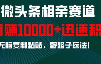 微头条相亲赛道，迅速积累，无脑复制粘贴，野路子玩法，月入1w