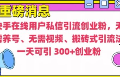 快手最新引流创业粉方法，无需养号、无需视频、搬砖式引流法
