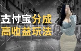 支付宝分成计划新玩法，利用交通事故视频，赚收益，轻松月入过W，操作简单