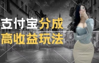 支付宝分成计划新玩法，利用交通事故视频，赚收益，轻松月入过W，操作简单