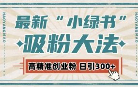 2025最新自动化“吸粉术”，小绿书激活私域流量，每日轻松吸引300+高质精准粉!