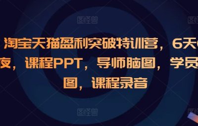 淘宝天猫盈利突破特训营，6天6夜，课程PPT，导师脑图，学员脑图，课程录音