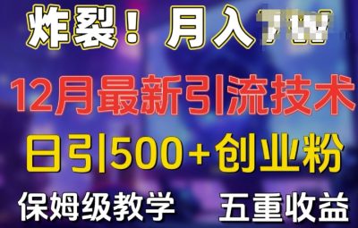2024年最新日引流500+精准创业粉，多重收益保姆级教学