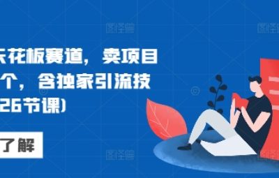 网创天花板赛道，卖项目月入6个，含独家引流技术(共26节课)