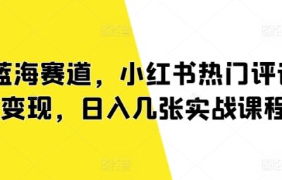 蓝海赛道，小红书热门评论变现，日入几张实战课程